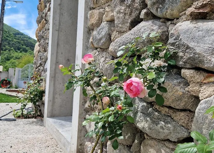 ヴィラ La Belle Grange *