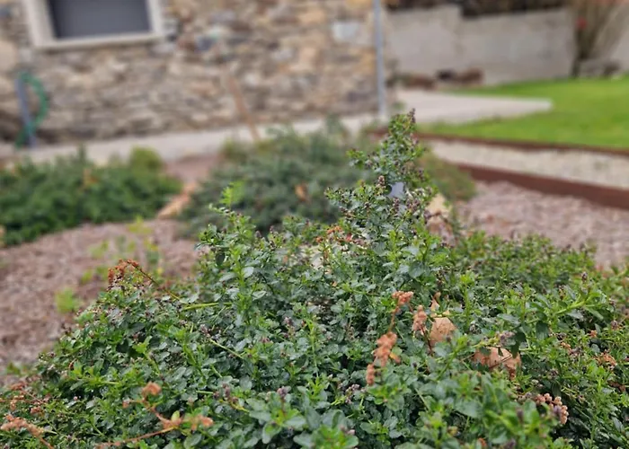 La Belle Grange * Arnave